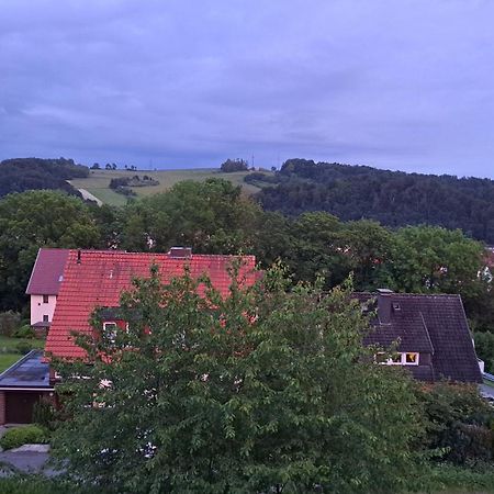 Harzer Ferienwohnung Mit Pool Und Sauna Bad Lauterberg Dış mekan fotoğraf